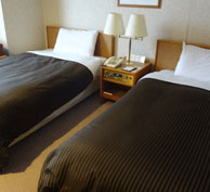 『ホテルコンコルド』のツインルーム。部屋の場所によってはお城も見えるんだとか。